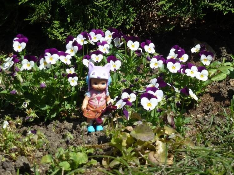 Сочи-Адлер: Южное Взморье - Мои любимые куколки на отдыхе