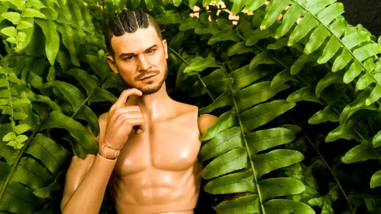 Мой любимый Феликс — Коллекционные экшн (фото 9)