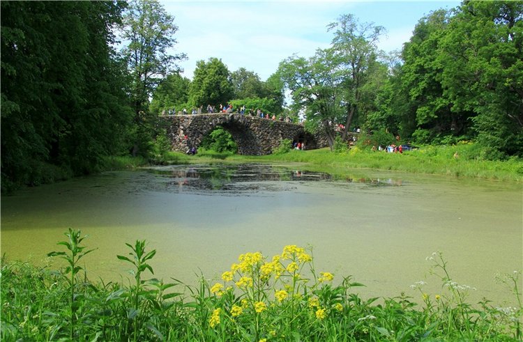 "Троицкие гуляния" в Василёво, 2018 год. Архитектурно-этнографический музей под открытым небом Василёво