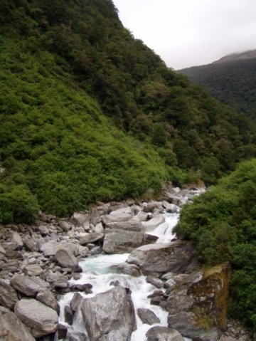 Увлекательное путешествие по Новой Зеландии