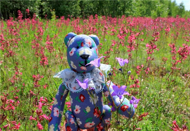 Малиновый Июнь, продолжение. BJD Gigi от Meadow Dolls (фото 4)