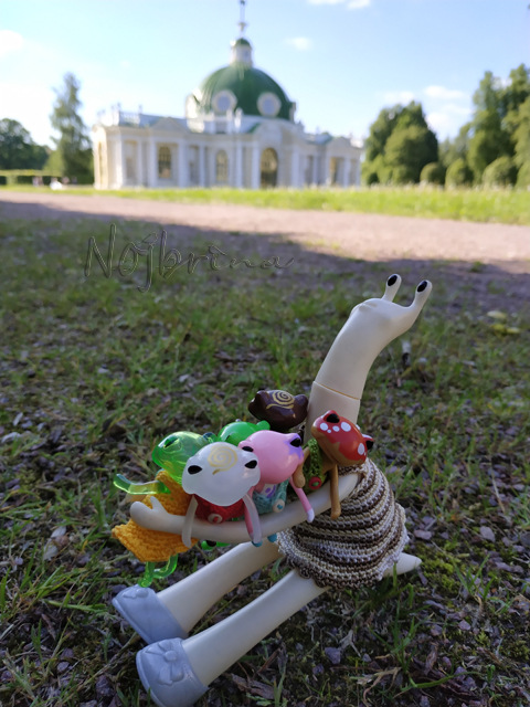 Wonderfrog. Красота в простоте