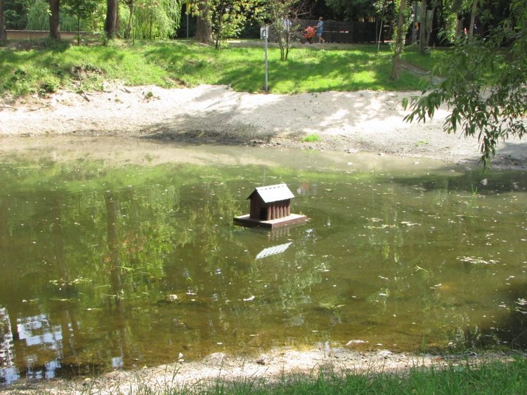 Малышня на прогулке в Бирюлёвском дендропарке