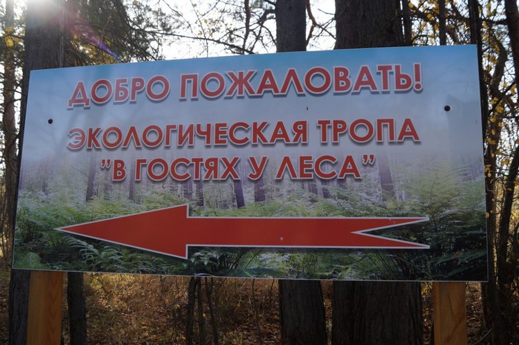 Хотите прогуляться по нашему городу? А за город - по экологической тропе (фото 5)