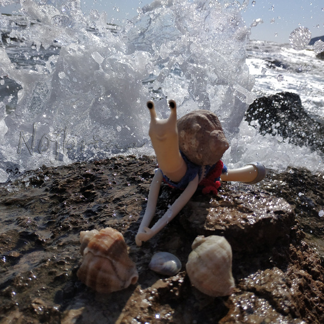 Wonderfrog. Красота в простоте. Часть 3