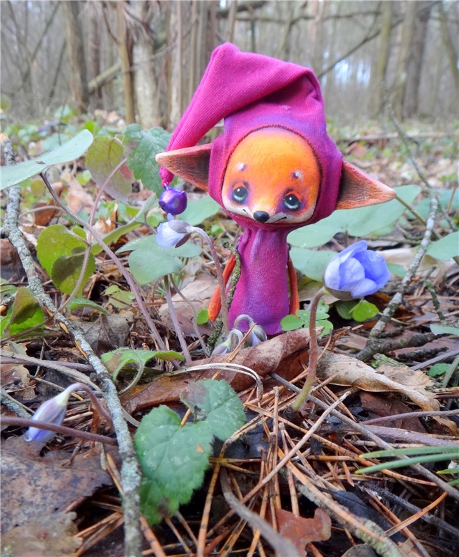 23 февраля - расцвели синие подснежники