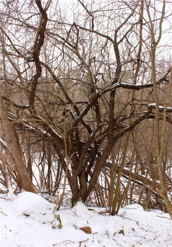 Путешествие в первый день Весны