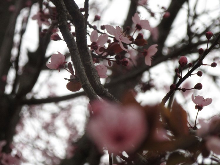 До пандемии. Путешествие по Италии, часть 3 (Флоренция, аутлет Барберино)