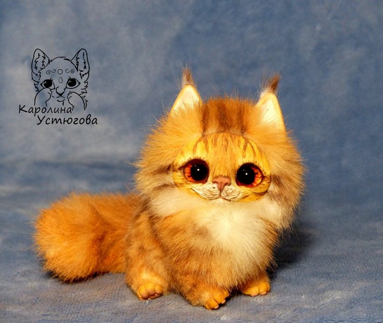 Карманный котеночек породы: Мейн-Кун (фото 8)