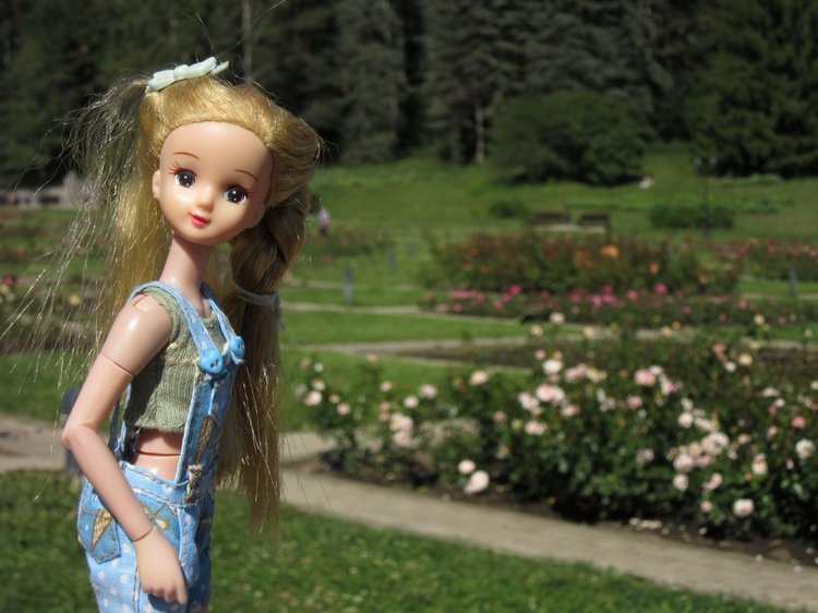 Горячее солнышко Кисловодска