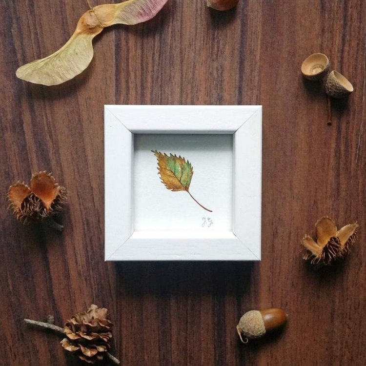 SnailMaidenStudio - Акварельные иллюстрации маленьких живых существ