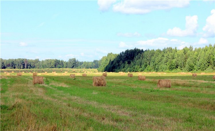 Деревенский "Треугольник" | Бэйбики Деревенский "Треугольник"