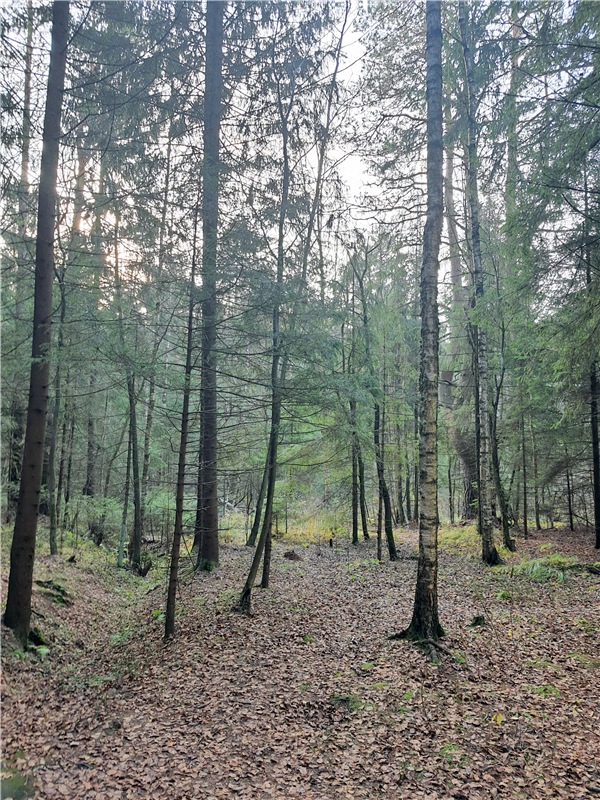 Путешествие по Святым местам Тверской области (фото 3)