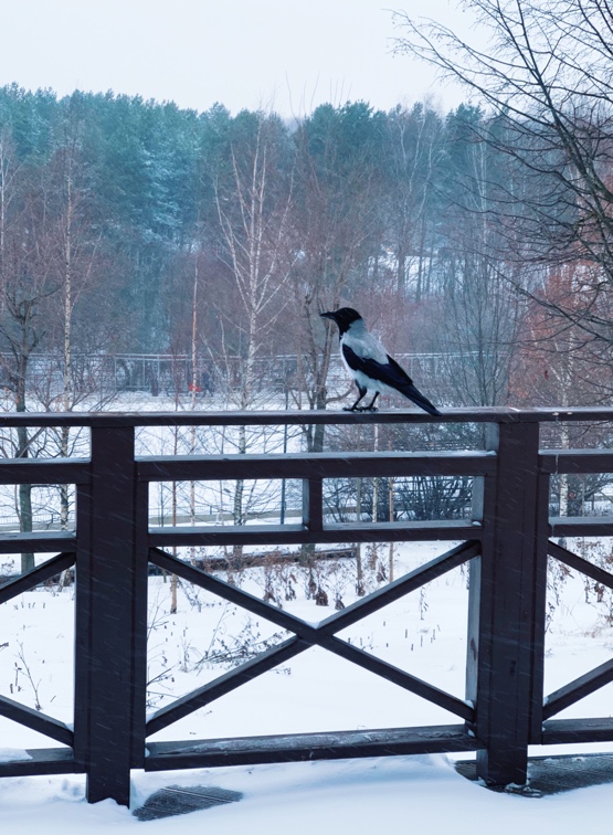 Поднимаем новогоднее настроение