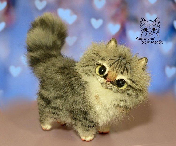 Котята Сибирской породы Табби и Мраморный биколор