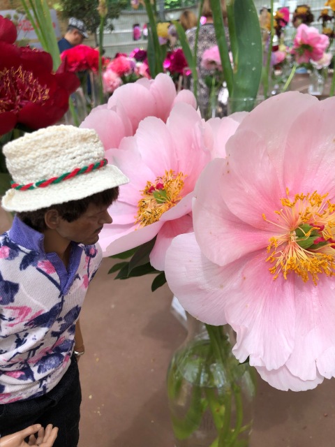 Тони Старк: приключения без брони. И снова Аптекарский огород | Бэйбики Тони Старк: приключения без брони. И снова Аптекарский огород