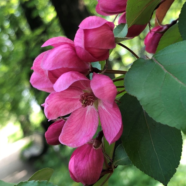 Тони Старк: приключения без брони. Был месяц май, половина вторая
