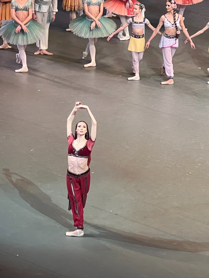 Баядерка. Большой театр — Болталка и разговоры обо всем: жизнь (фото 6)