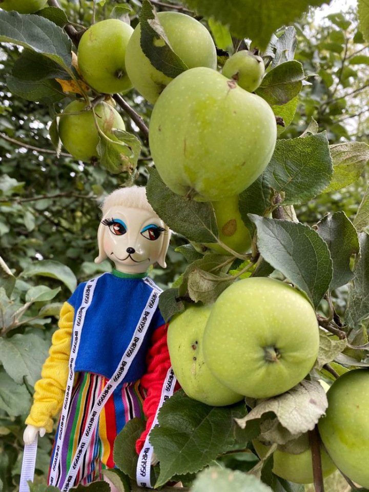 4 сезона Peteena от Hasbro (фото 3)