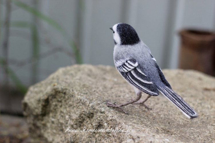 Белая трясогузка — Валяные игрушки из шерсти: сухое валяние