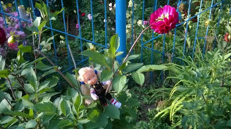 Девчонка по имени Женька-подарок форумчанки Анечки