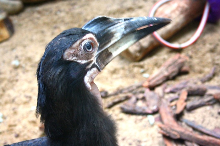 Московские каникулы. Часть 1