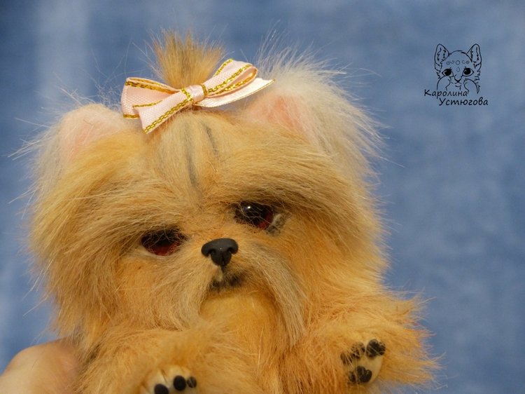 Щенок Йоркширского терьера (фото 8)