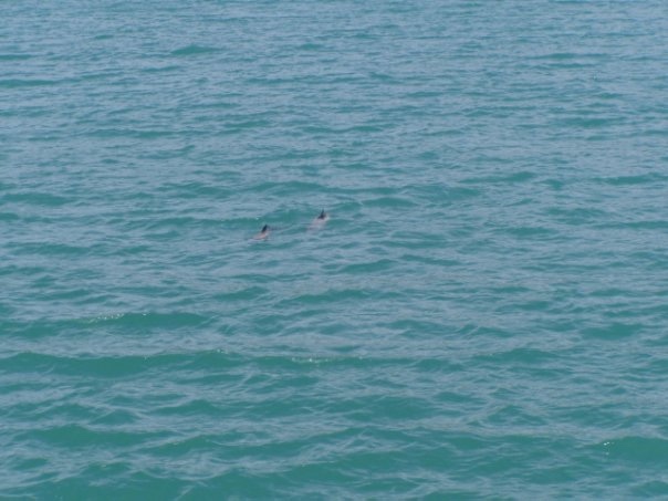 Увлекательное путешествие по Новой Зеландии