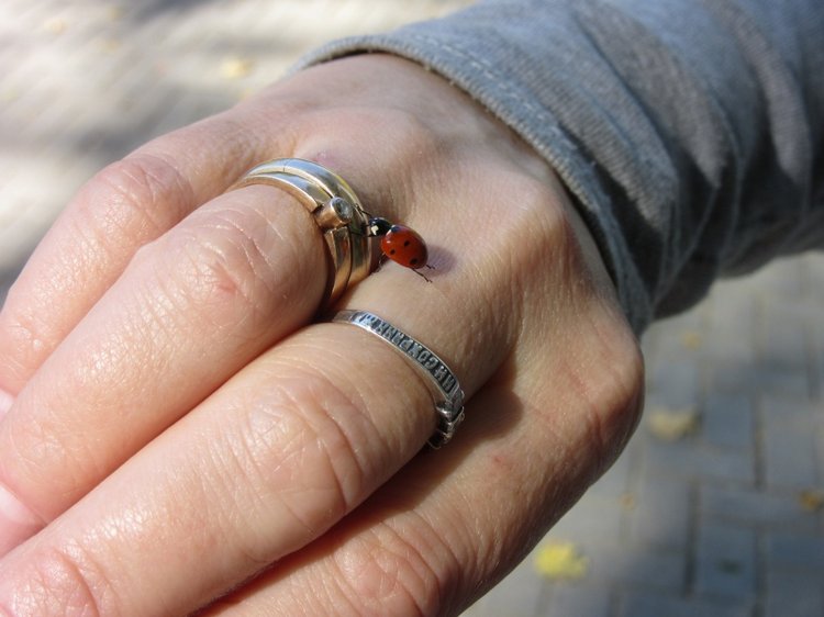 Выходной с Хеленой в Таганроге