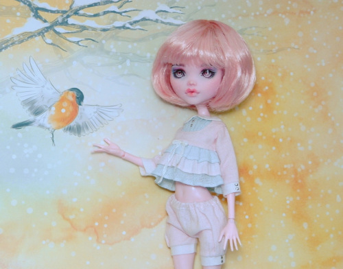 Новый формат моей кукольной коллекции | Бэйбики Новый формат моей кукольной коллекции (фото 5)