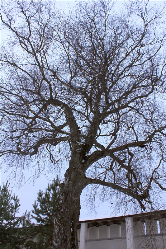 Рождественская Старица — Туризм и путешествия: фотоотчеты из поездок