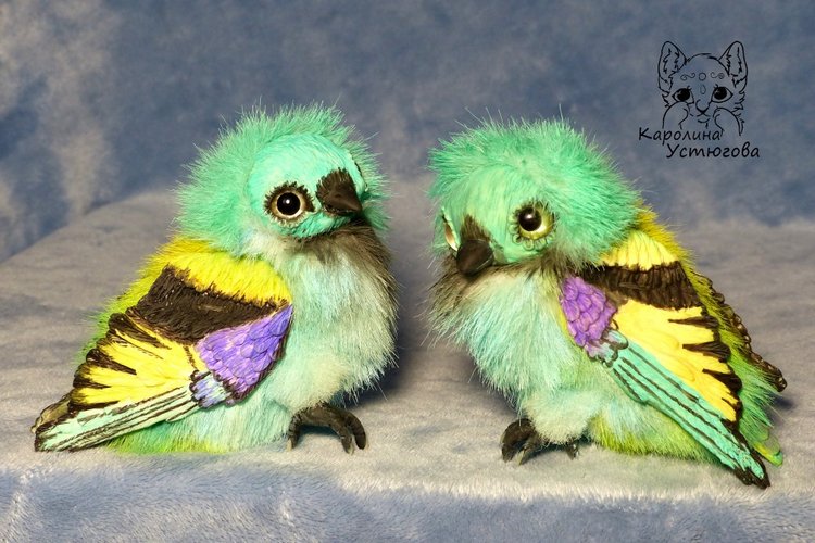 Зеленоголовая танагра, чудо птичка