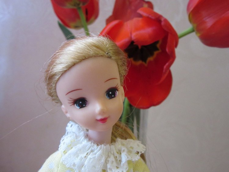 Пасхальный цыплёнок по имени Хелена (фото 6)