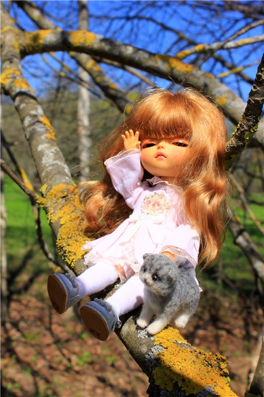 Путешествие Софи в Старицу, продолжение. Lati HoneyBee New Mystic Sophie