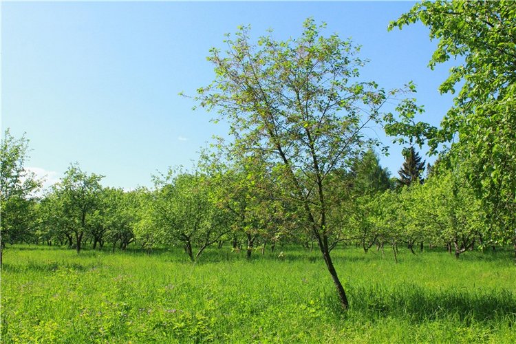 Из Чукавино в Старицу — Культура (фото 10)