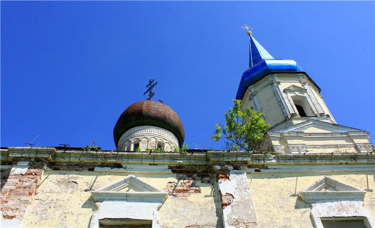 Эля в Иванишах. Twinkles Ella Chocolate (фото 10)