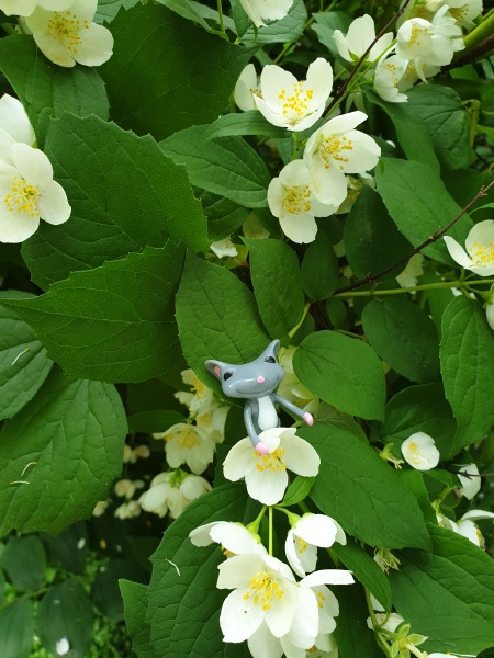 Лягушонок превращается в... мышонка