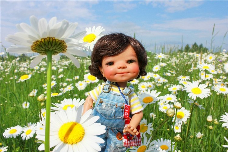 Ромашковый Июнь — Куклы Meadow dolls (Медовушки): BJD (БЖД)