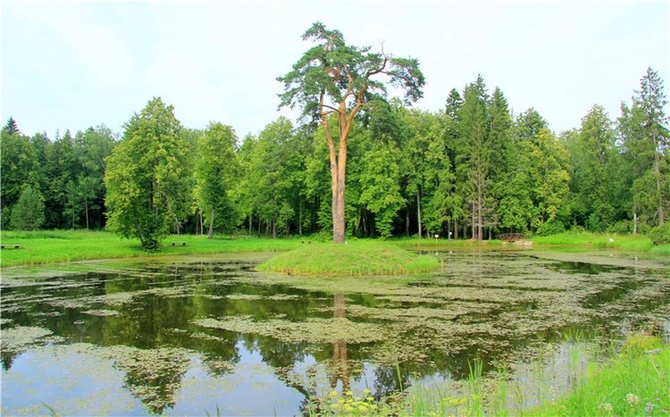 Путешествие Виолы в Усадьбу Знаменское-Раёк
