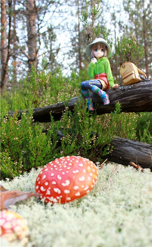 "Аманита". Aoi Yukimura Third Season 1/7 PVC figure