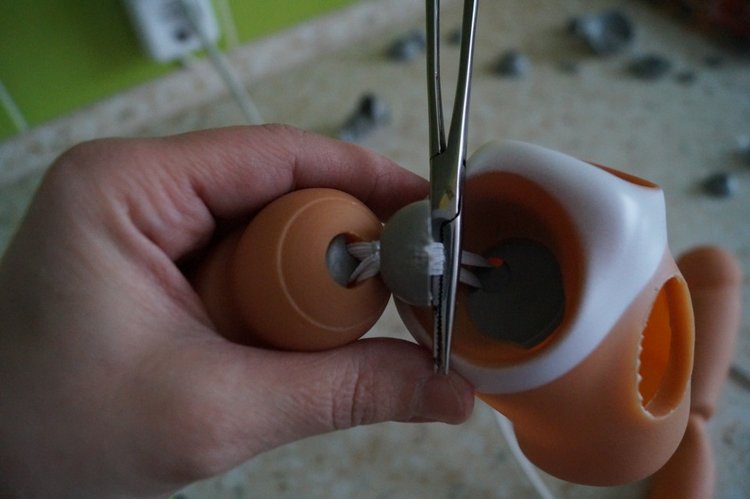 Вы ждали субботу? Заходите в гости! Выписка куколок