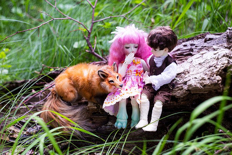 Сказки Волшебного Леса. Часть 1