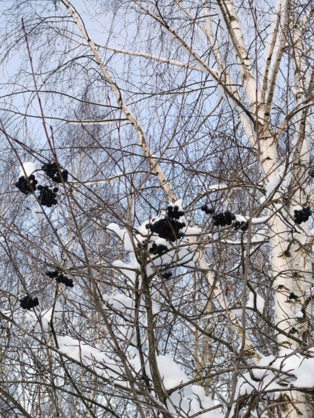 На позитиве — Интересные игрушки и фигурки (разное): редкие