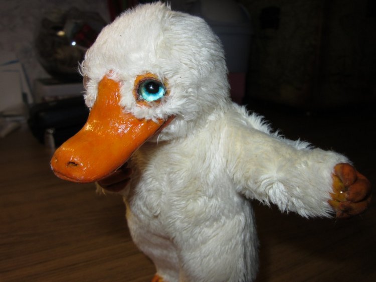 Фантастическая наглость фантастического нюхлера (фото 5)