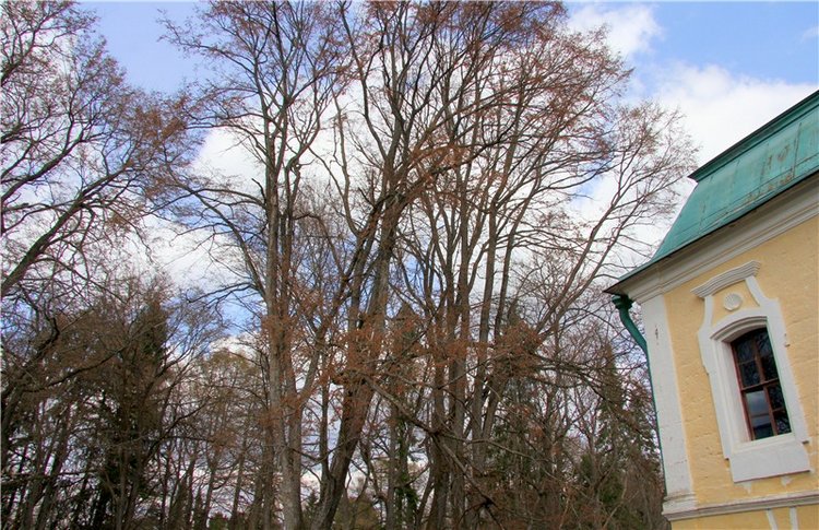 Усадьба Чукавино, Тверская область