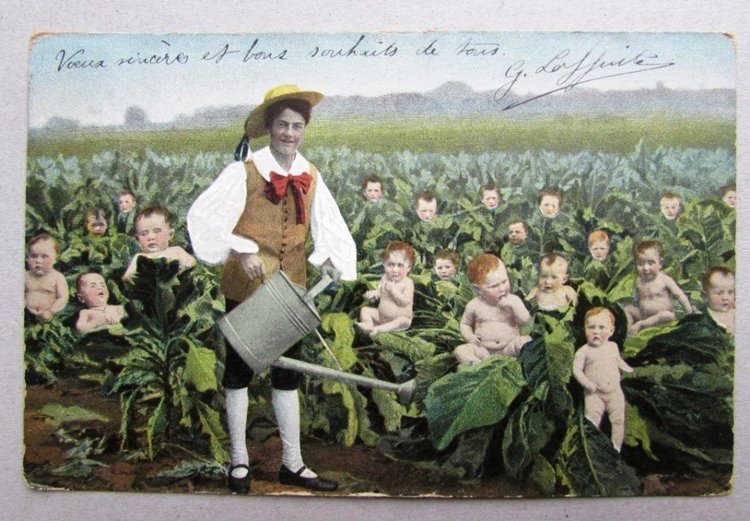 Сельская Санта-Барбара (Кирпич) (фото 2)