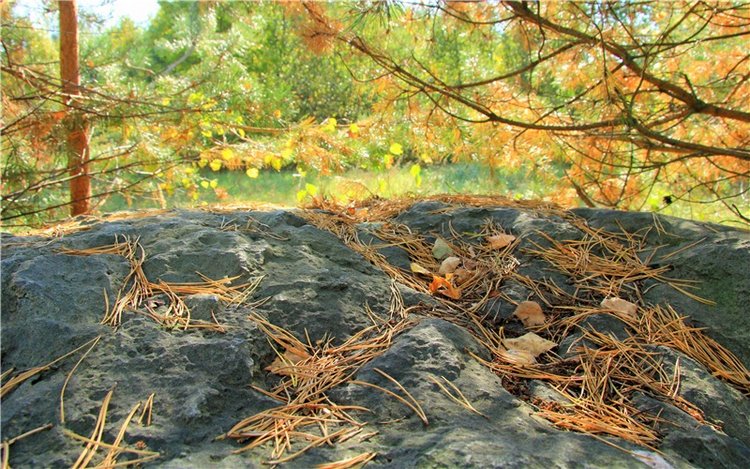 Путешествие Адель в "Сад камней". Джульетта от Sylvia Natterer