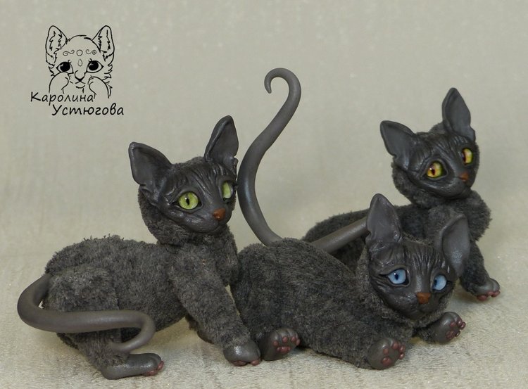Миниатюрные серые Сфинксы (фото 2)