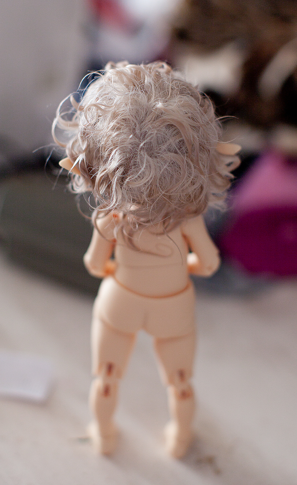 Как наводили марафет Мармеладику (фото 6)