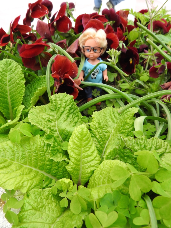 Сочи-Адлер: Южное Взморье - Мои любимые куколки на отдыхе (фото 7)